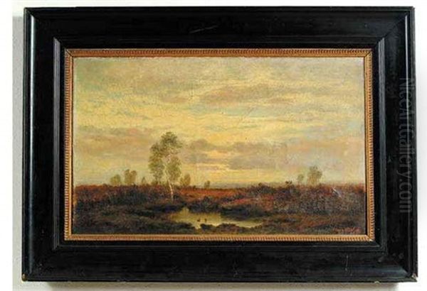 A Marsh At Dusk - view 1