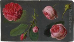 Pfingstrosen by Ferdinand Kuess