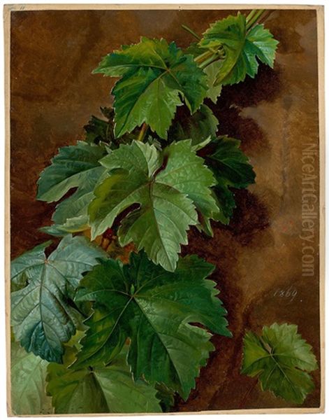 Vine Branches - view 1