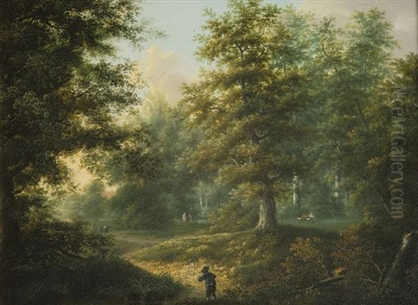 Waldlandschaft - view 1