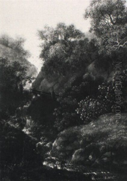 Wasserfall Zwischen Felsen Und Buschwerk - view 1