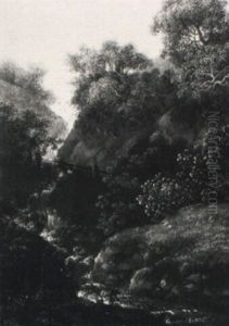 Wasserfall Zwischen Felsen Und Buschwerk
