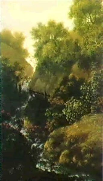 Idyllische Kleine Schlucht Mit Fischer - view 1