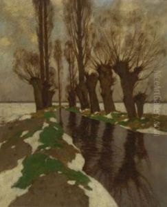 Bachlandschaft Mit Kopfweiden Im Spatwinter