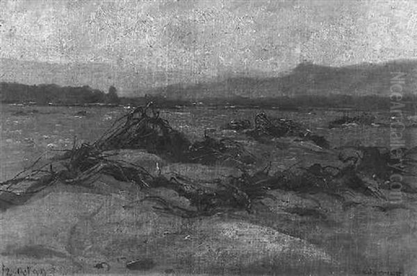 Isarhochwasser Bei Bad Tolz - view 1
