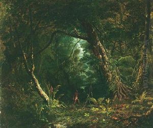 View In The Amazonian Forest