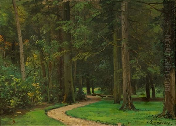 Forest Path - view 1