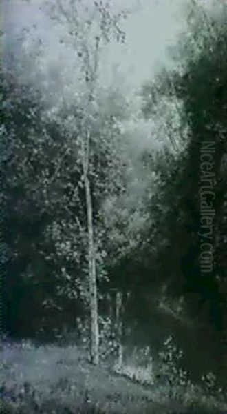 Lalle Landscape - view 1