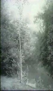 Lalle Landscape Lalle Landscape