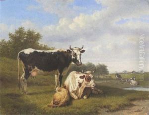 Kuhe Und Schaf Auf Der Weide Kuhe Und Schaf Auf Der Weide