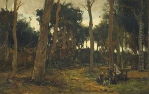 In The Woods In The Woods