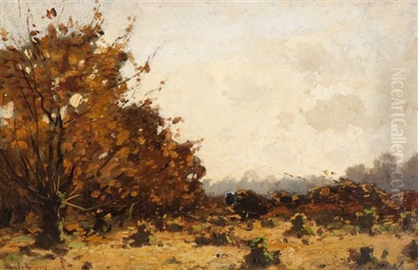 Autumn Forest - view 1