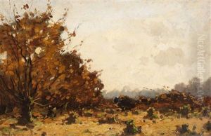 Autumn Forest Autumn Forest