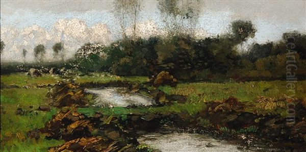Meadow With Two Ponds - view 1