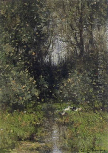 A Forest Pond With Ducks - view 1