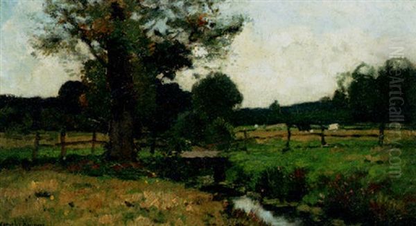 Cows In A Meadow - view 1