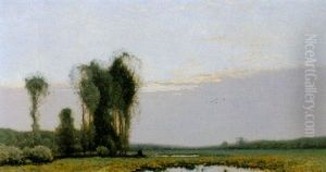 In The Fields In The Fields