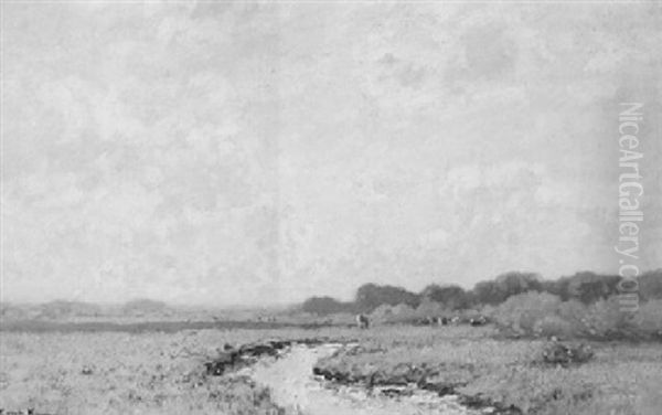 A Sunny Polder Landscape - view 1