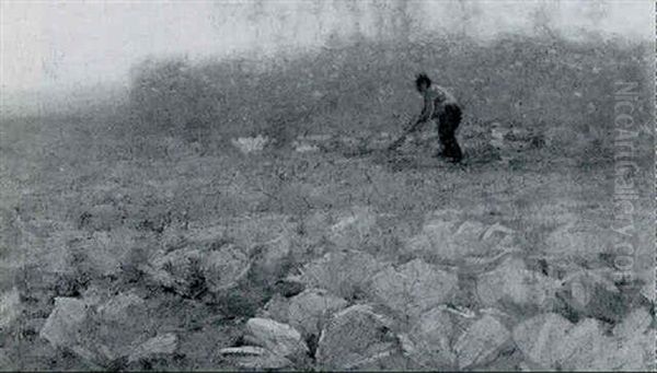 A Peasant Working In A Cabbage Field - view 1