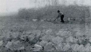 A Peasant Working In A Cabbage Field