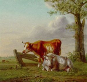 Cows In A Meadow by Martinus Antonius Kuytenbrouwer the Elder