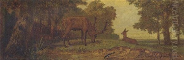 Grazing Deer In A Wooded Landscape - view 1