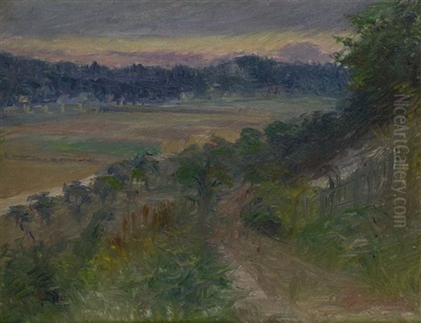 Summer Landscape - view 1