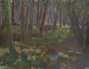Woodland Scene