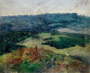 Homme Dans Un Paysage