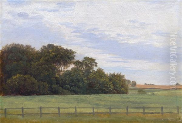 Sommerlandschaft Bei Jyderup Auf Seeland - view 1