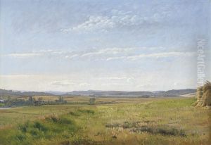 Danische Sommerlandschaft Mit Weitem Himmel