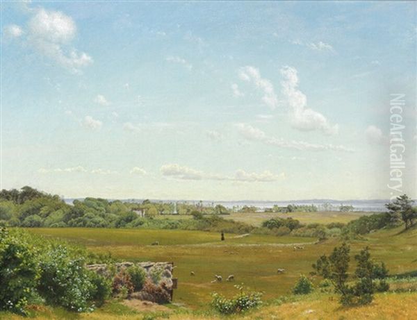 Danish Summer Landscape - view 1