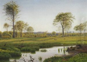 Summer Landscape With Storks On The Meadow
