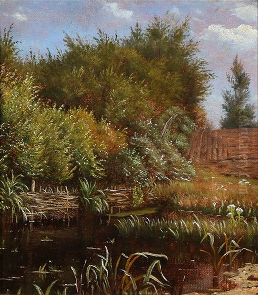 View From A Dam - view 1