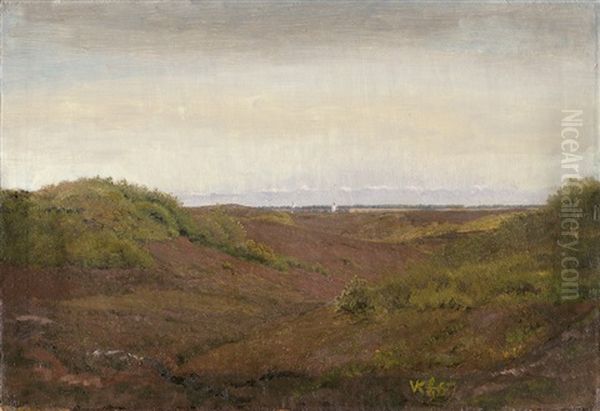 Jutlandische Heidelandschaft - view 1