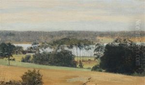 Danish Landscape With View Over "salten Langso" Danish Landscape With View Over "salten Langso"