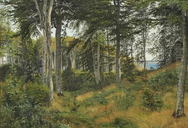 Ved Vejlefjord - view 1