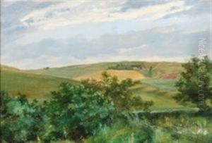 A Summer's Day In The Countryside