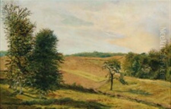 A Summerlandscape - view 1