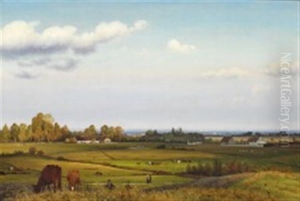 Danish Summer Landscape - view 1