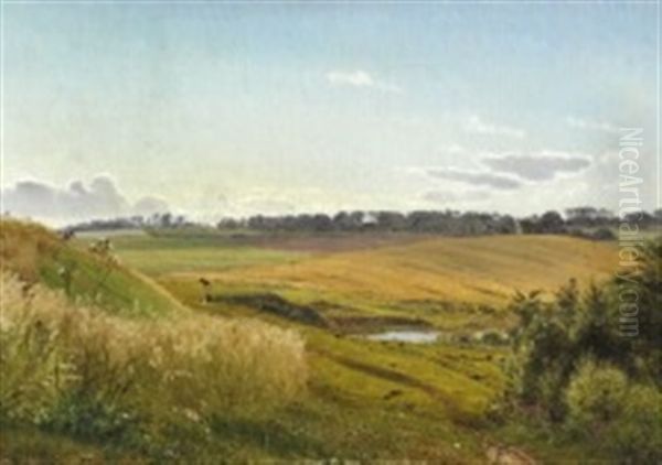 Landscape, Jutland - view 1