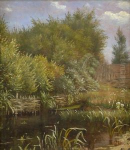 Kleiner Teich Mit Schilf Und Baumen Im Sommer
