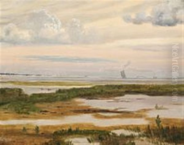 Scenery From Saltholm With Ships At Sea - view 1
