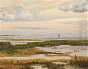 Scenery From Saltholm With Ships At Sea