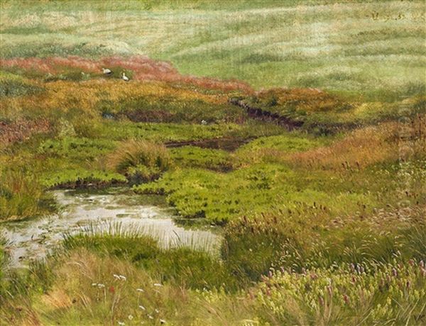 Wiese Mit Storchen - view 1