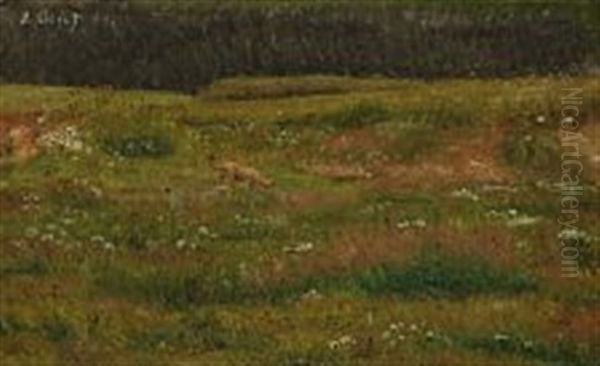 Flowers On A Meadow - view 1