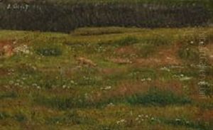 Flowers On A Meadow Flowers On A Meadow