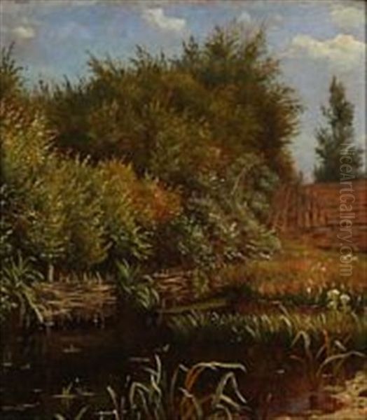 Autumn Landscape With A Lake - view 1