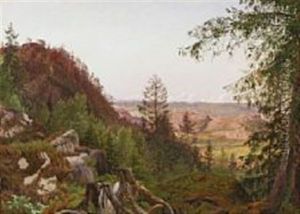 Landskab Ved Sandefjord I Norge