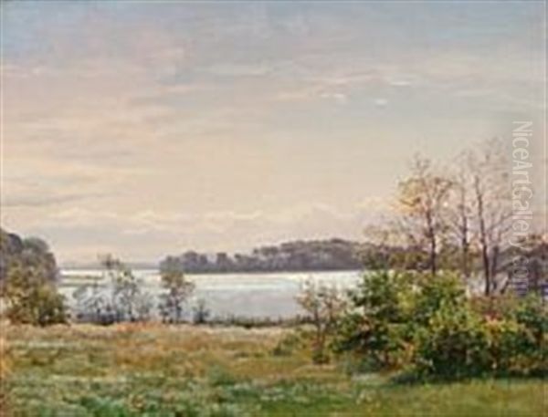 Danish Summer Landscape With Sun Reflections On The Fjord - view 1